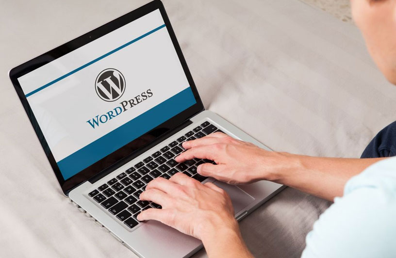 WordPress Development Services by WebClixs